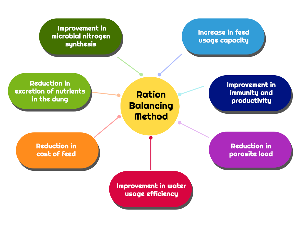 Ration Balancing